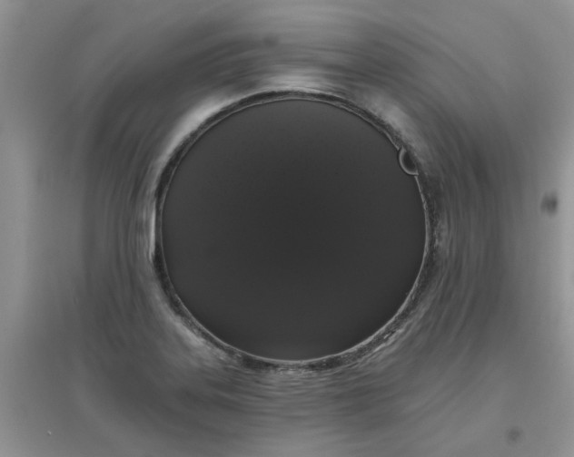 X0000097631323200803142016