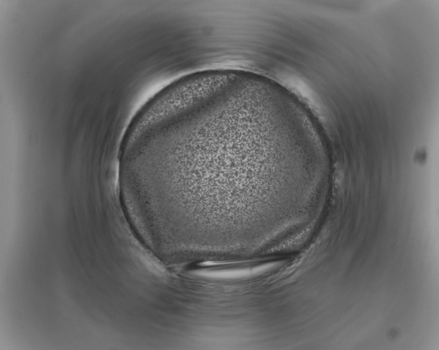 X0000097631324200803142016