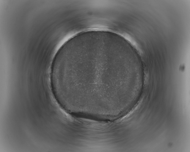 X0000097631325200803142016