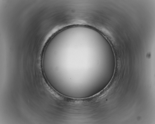 X0000097631326200803142016