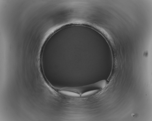 X0000097631327200803142016