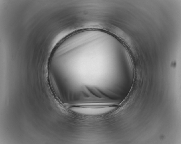 X0000097631328200803142016