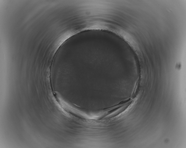 X0000097631329200803142016