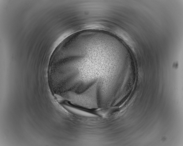 X0000097631330200803142016