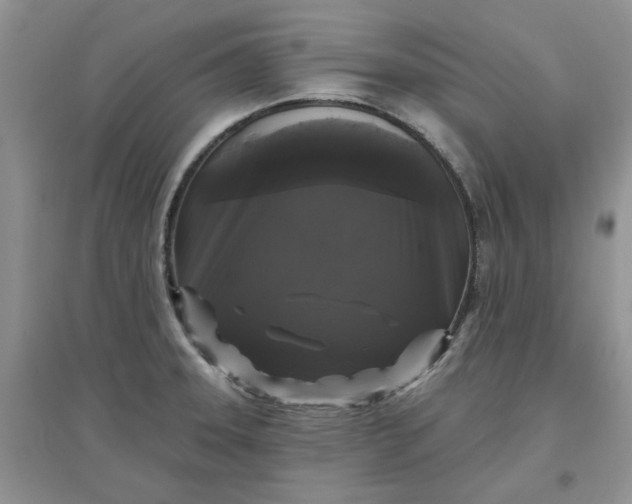 X0000097631331200803142016