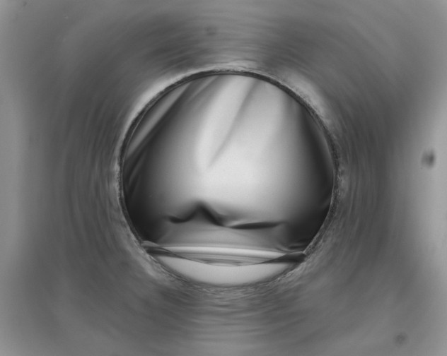 X0000097631332200803142016