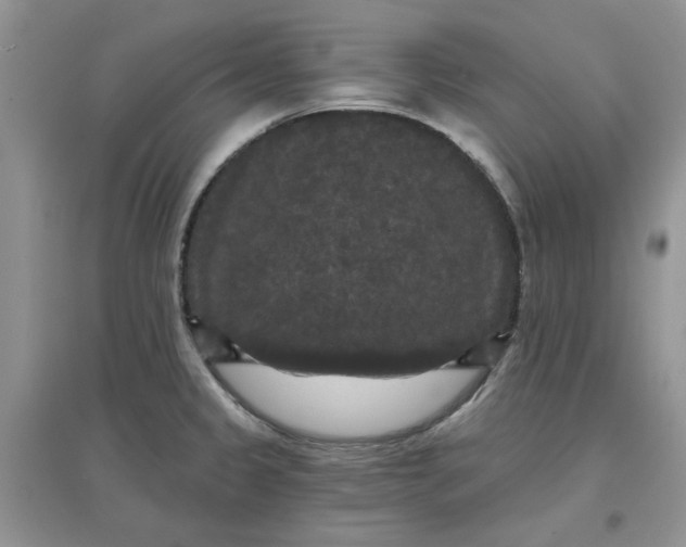 X0000097631333200803142016