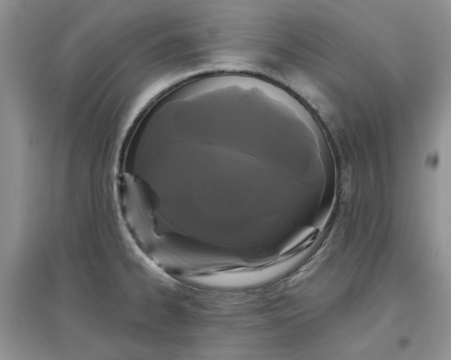 X0000097631334200803142016