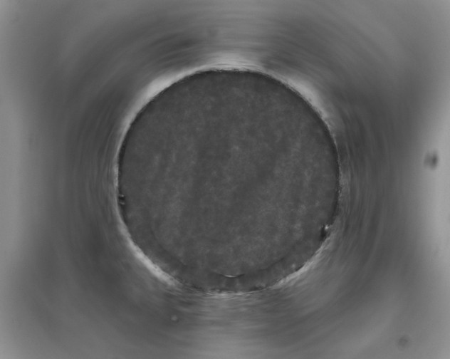 X0000097631335200803142016