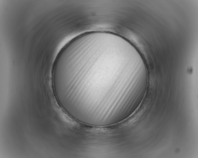 X0000097631336200803142016