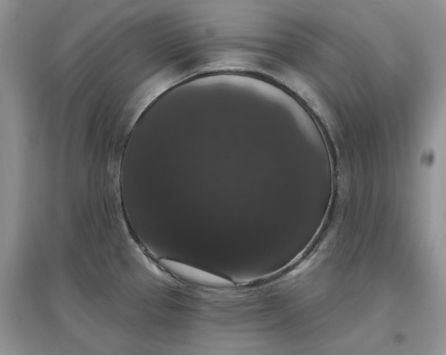 X0000097631337200803142016