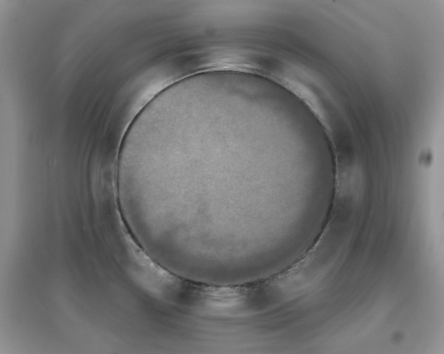 X0000097631338200803142016