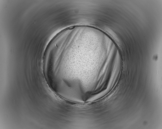 X0000097631340200803142016