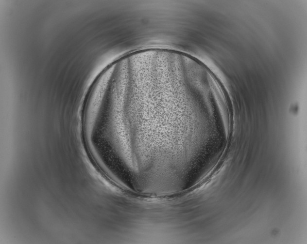 X0000097631341200803142016