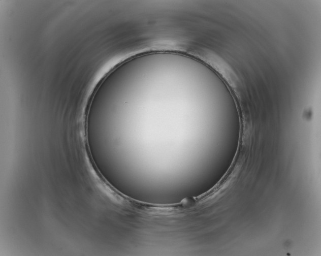 X0000097631342200803142016