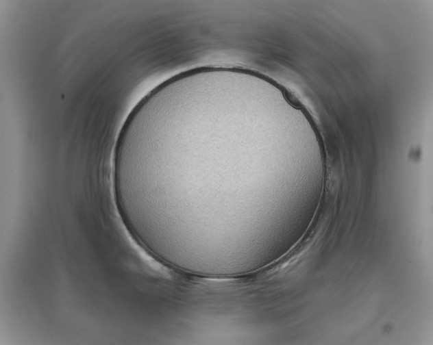 X0000097631343200803142016