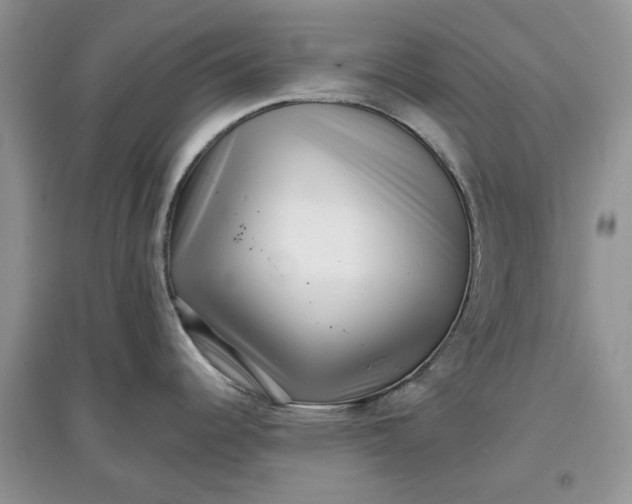 X0000097631344200803142016