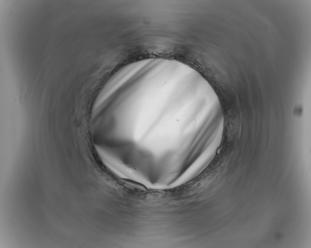 X0000097631345200803142016