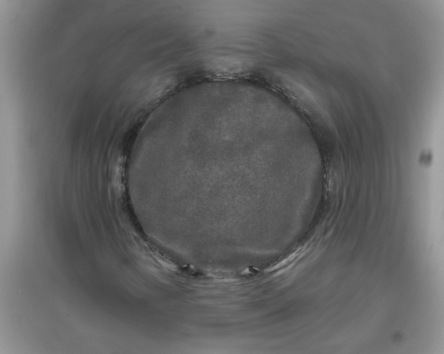 X0000097631346200803142015