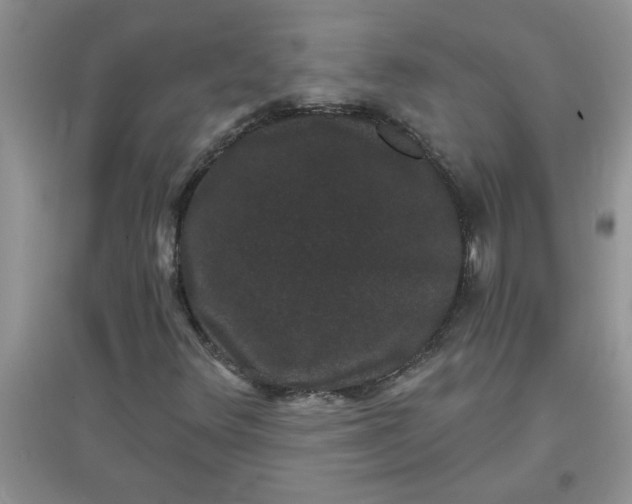 X0000097631348200803142015