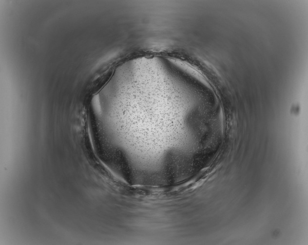 X0000097631349200803142015