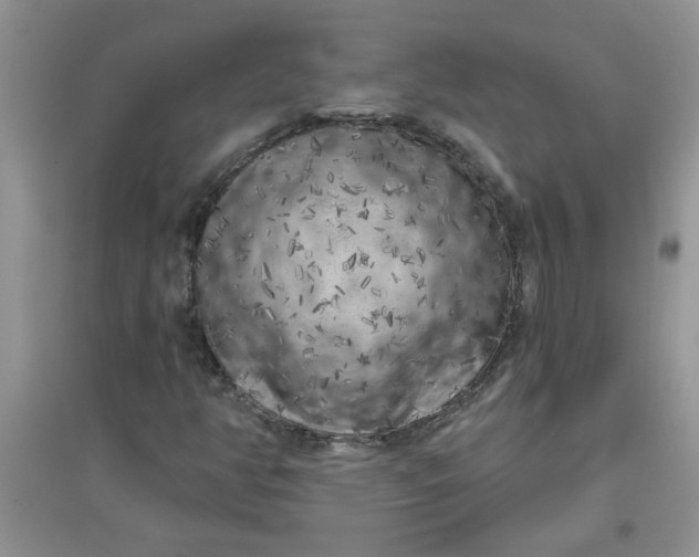 X0000097631350200803142015