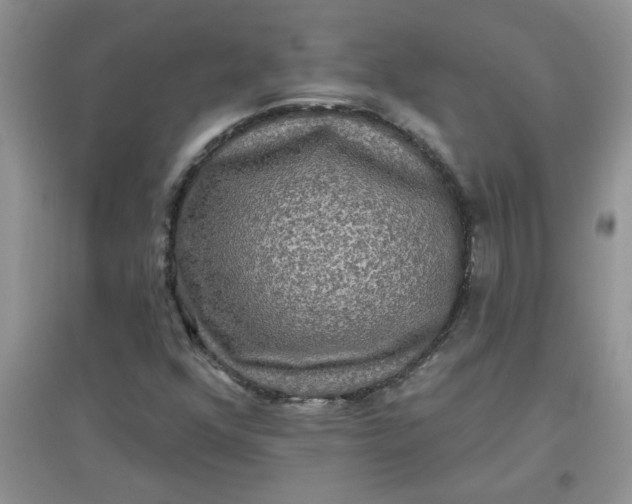 X0000097631352200803142015