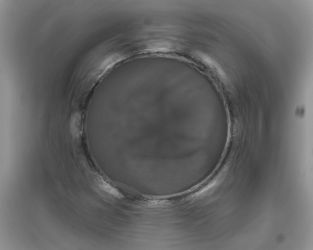 X0000097631353200803142015