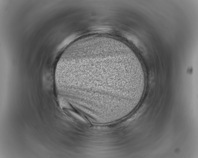 X0000097631354200803142015