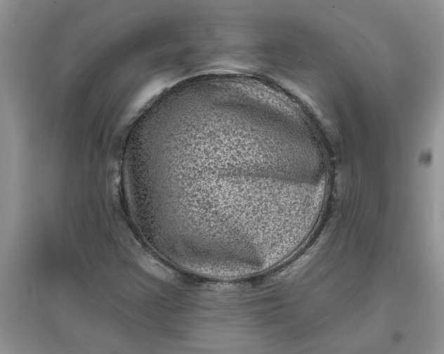 X0000097631355200803142015