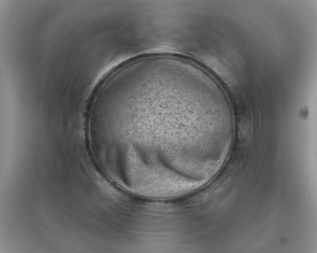 X0000097631356200803142015