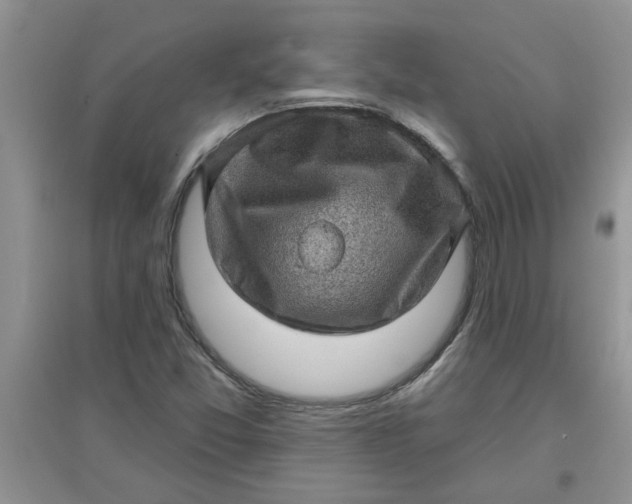 X0000097631357200803142015