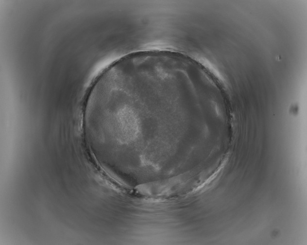 X0000097631358200803142015