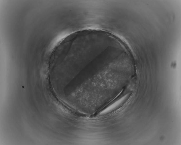 X0000097631359200803142015