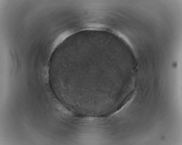 X0000097631362200803142015