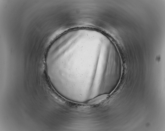 X0000097631363200803142015