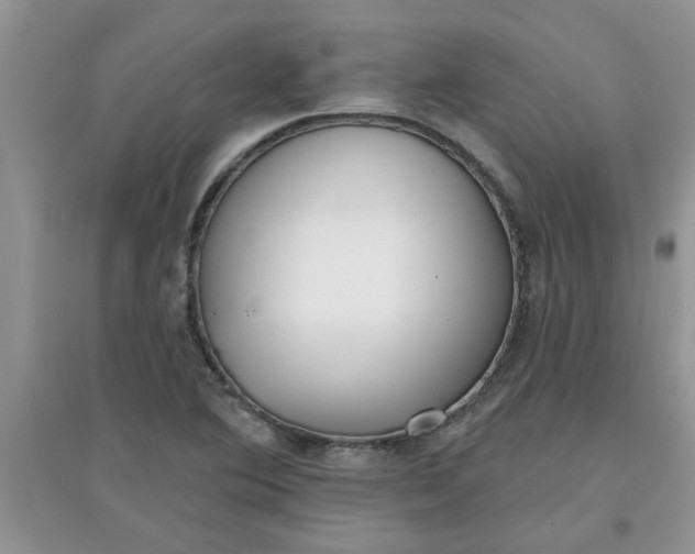 X0000097631364200803142015