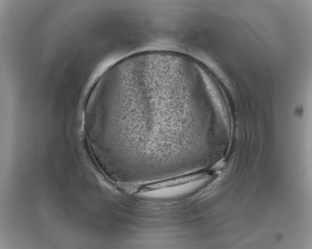 X0000097631366200803142015