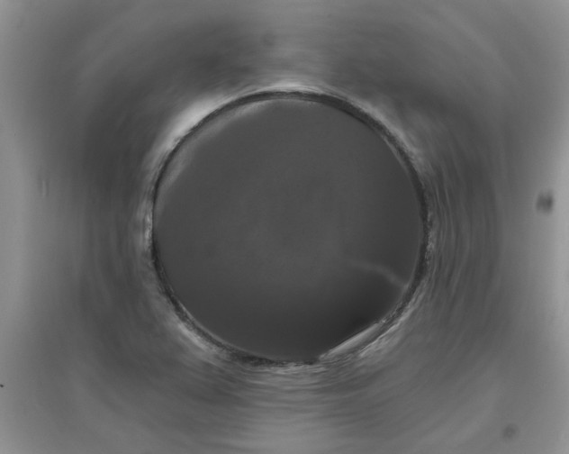 X0000097631367200803142015