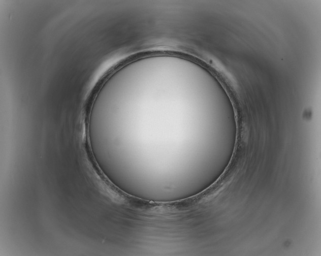 X0000097631368200803142015