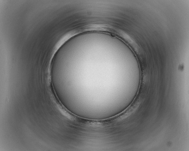 X0000097631370200803142015