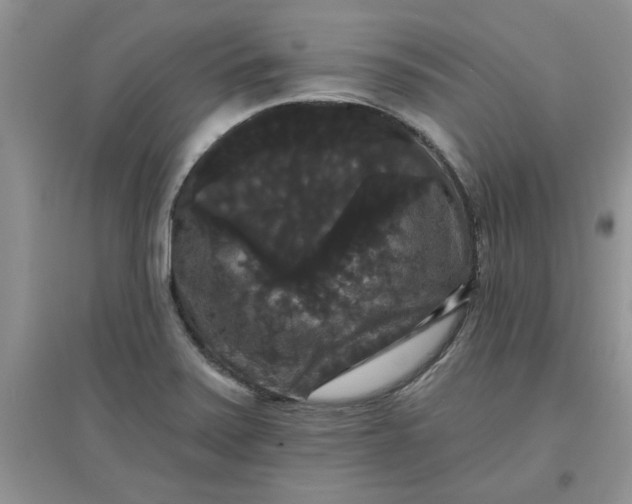 X0000097631371200803142015