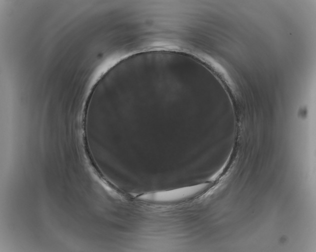 X0000097631373200803142015