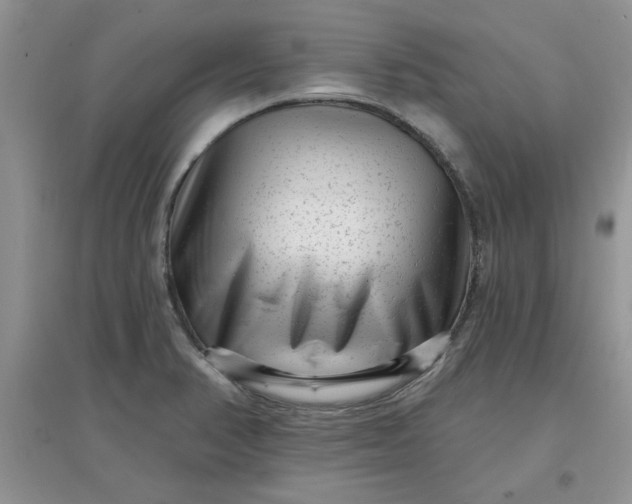 X0000097631374200803142015