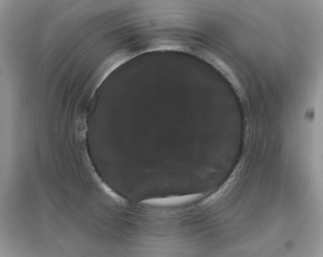 X0000097631377200803142015