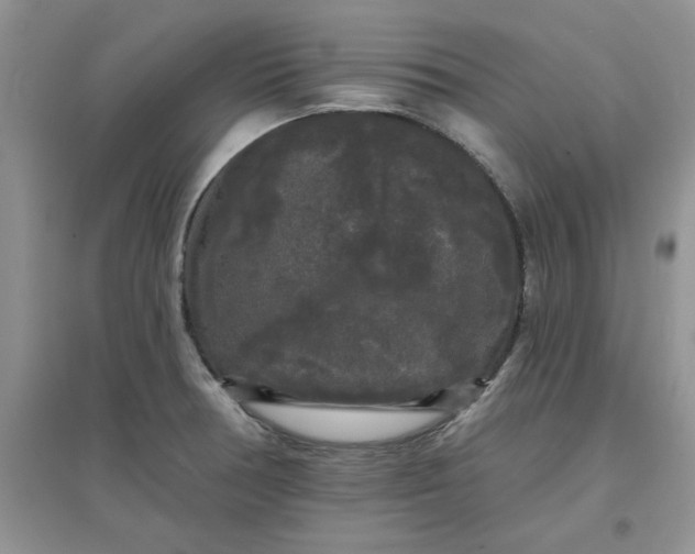 X0000097631378200803142015