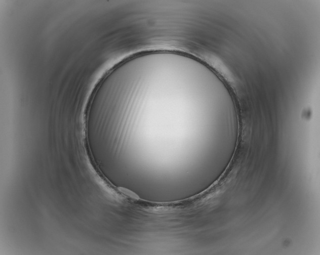 X0000097631380200803142015