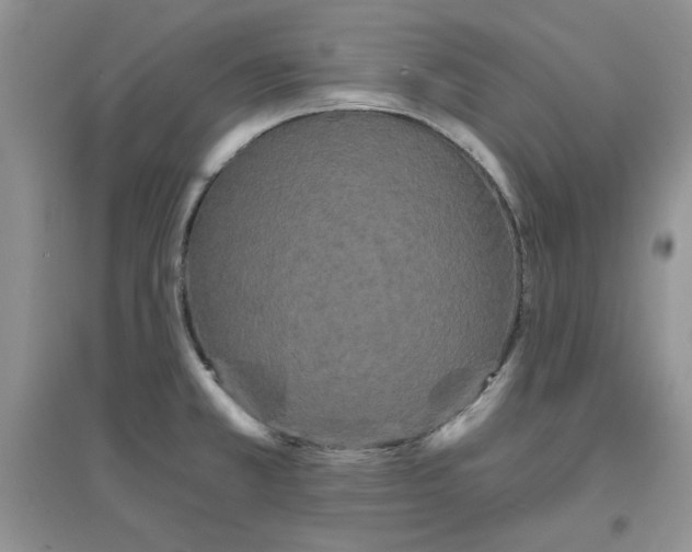 X0000097631381200803142015