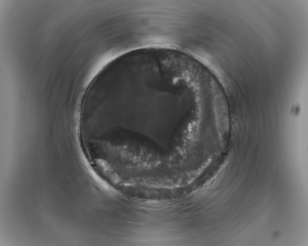 X0000097631383200803142015