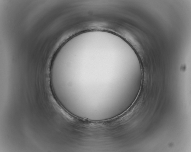 X0000097631384200803142015